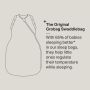Swaddle bag Infographic