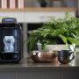 black-perfect-prep-day-and-night-machine-on-kitchen-bench-next-to-plant