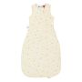 The Original Grobag Oatmeal Star Sleepbag